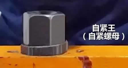 ed3c89affc734867964a983122fd5258_th.jpg